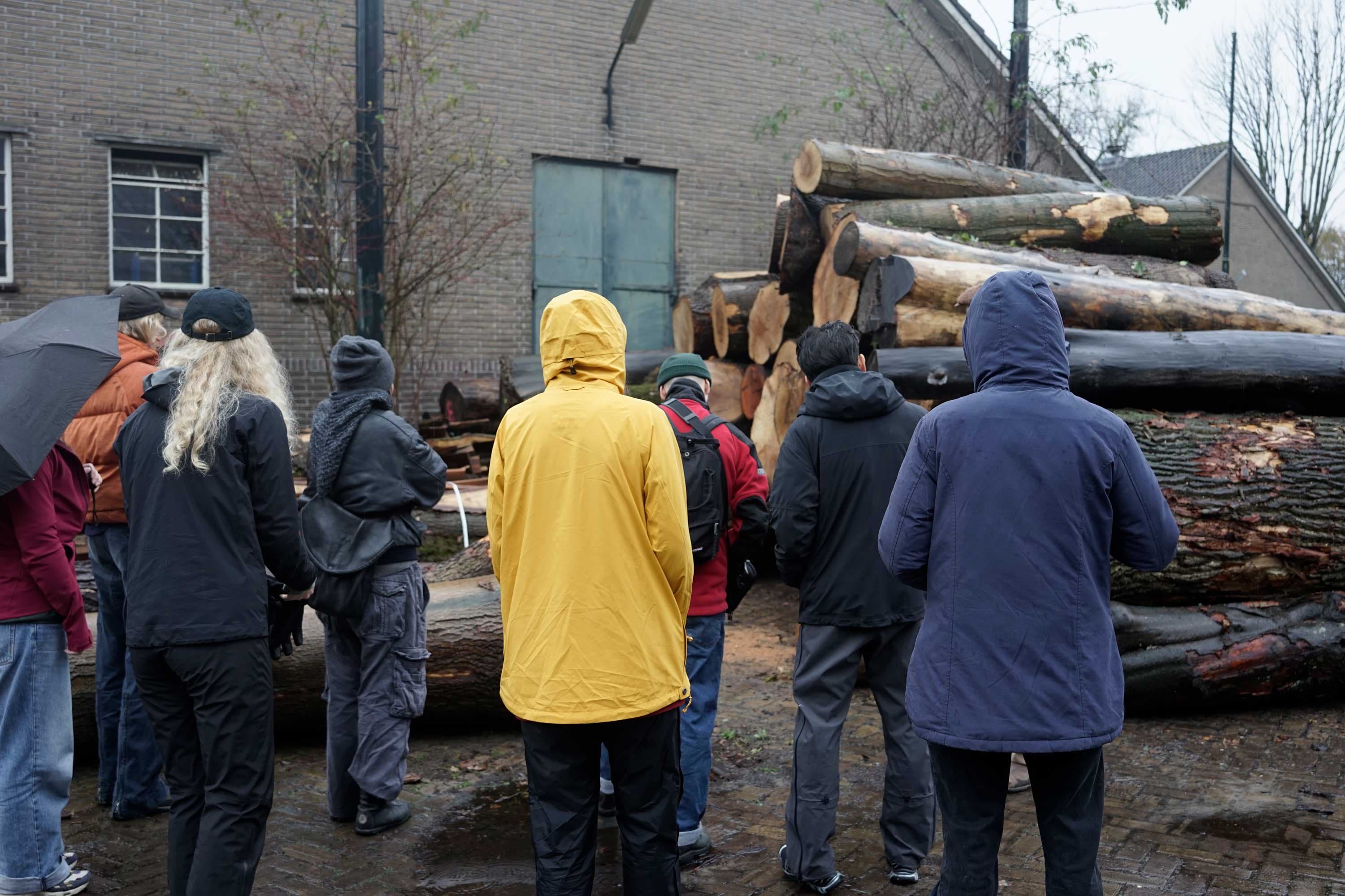 The image shows a group of people wearing raincoats standing in front of a pile of felled trees. 